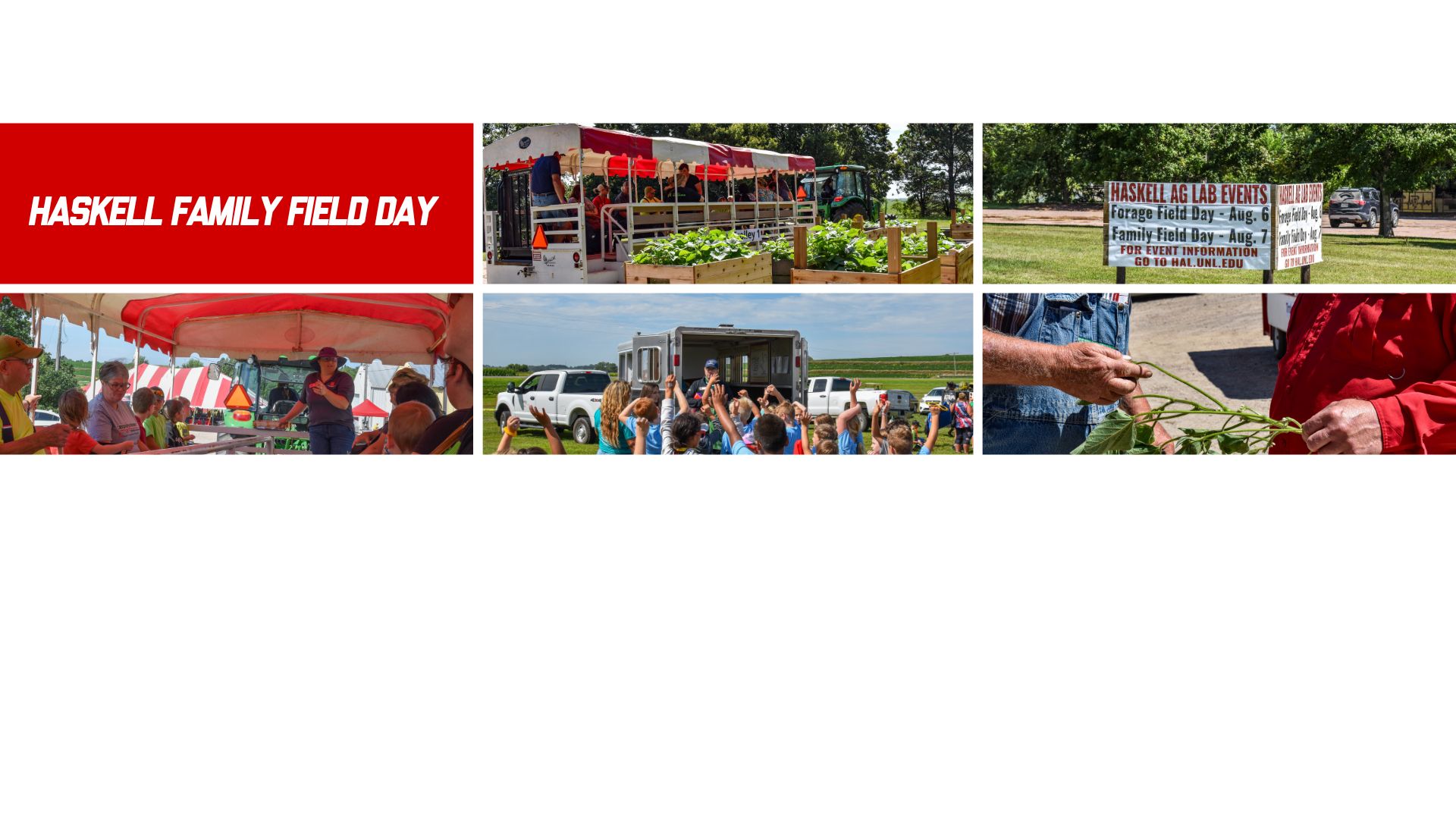 Family Field Day header 