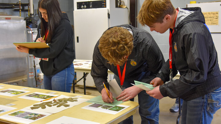 Three students participating in the forestry career development event.