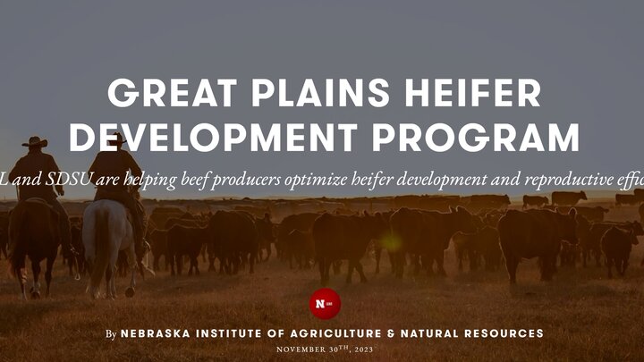 Great Plains Heifer Development IANR Exposure Story