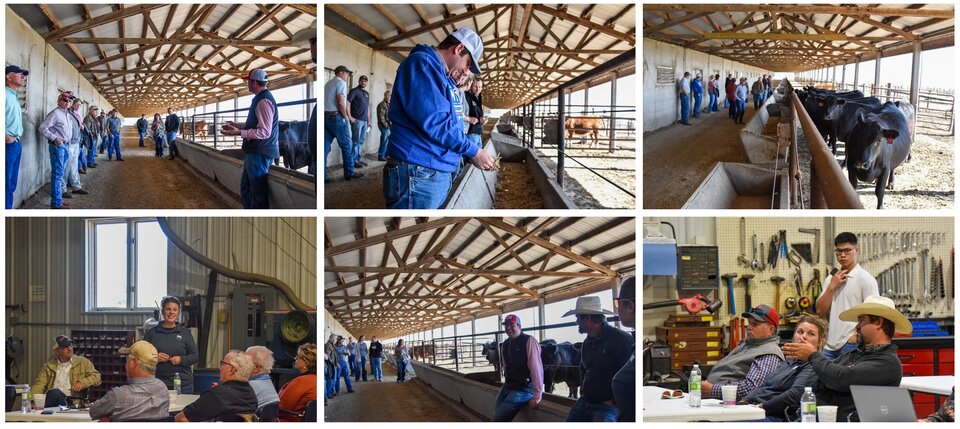 Great Plains Heifer Development Program collage